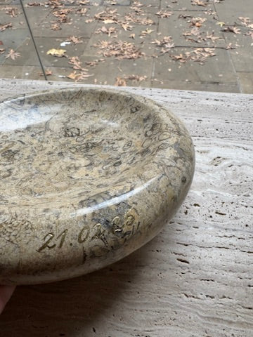 PLUTO - Doughnut Catchall