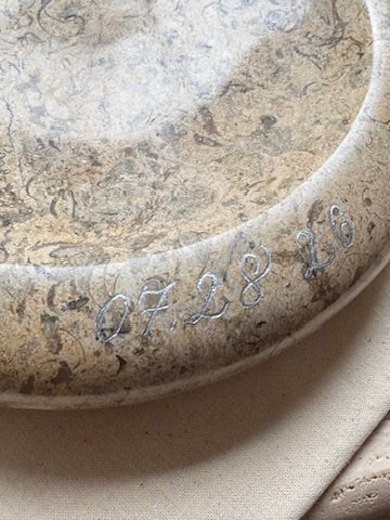 PLUTO - Doughnut Catchall