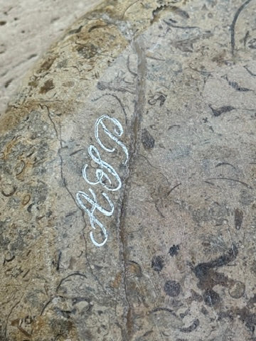 PLUTO - Doughnut Catchall